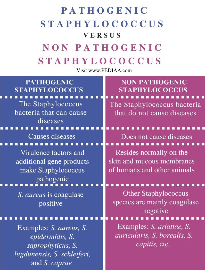 Pathogenic vs Non-pathogenic Staphylococcus - Comparison Summary