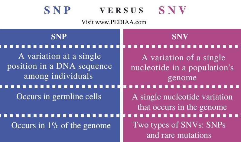 SNP vs SNV - Comparison Summary