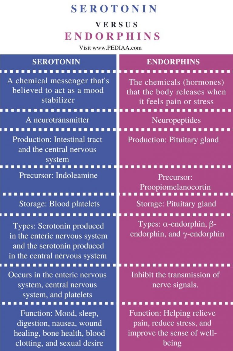 what-is-the-difference-between-serotonin-and-endorphins-pediaa-com