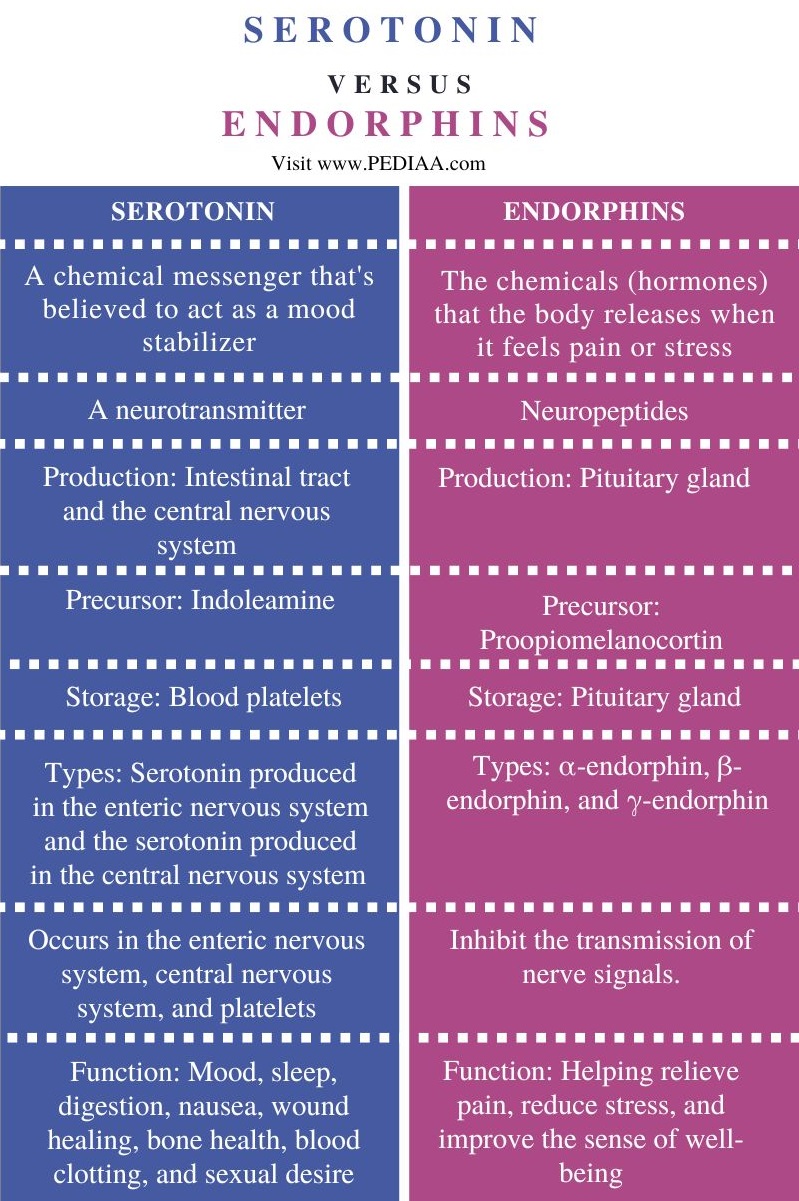 Serotonin vs Endorphins - Comparison Summary