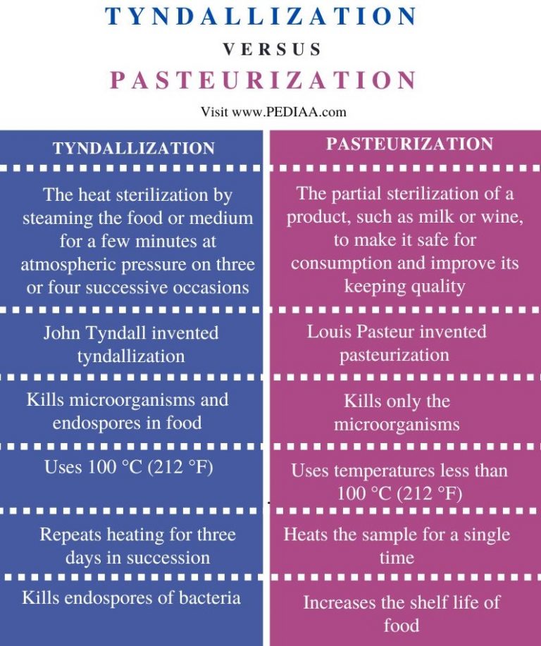 What is the difference between tyndallization and pasteurization 