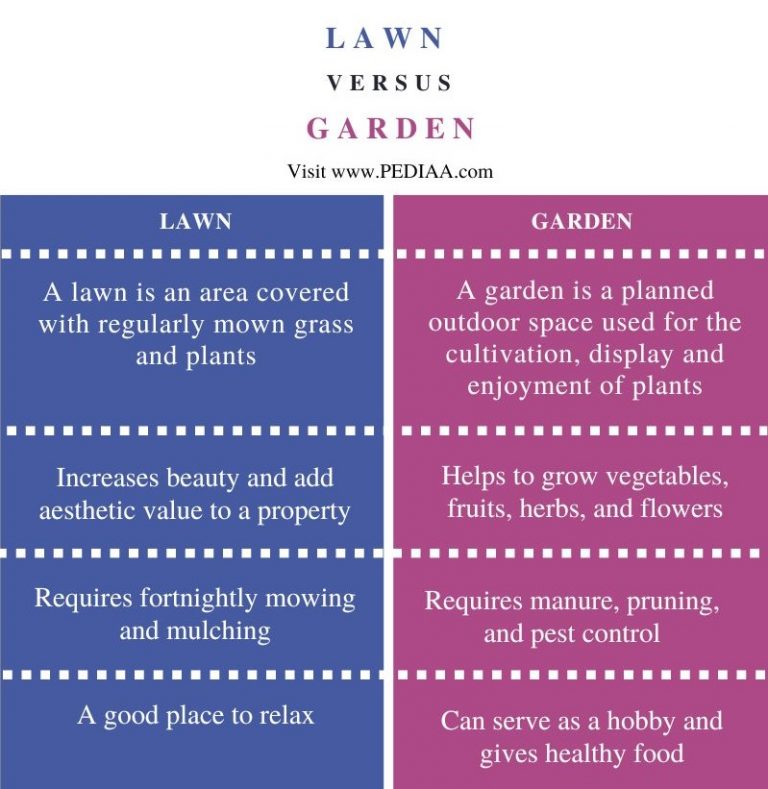What is the Difference Between Lawn and Garden
