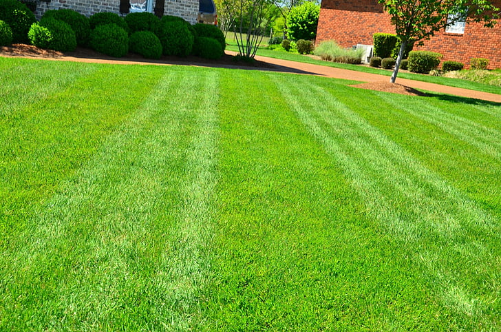What is the Difference Between Lawn and Garden - Pediaa.Com