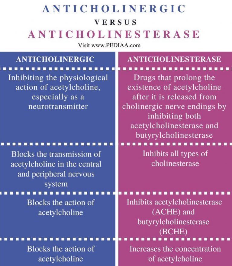What is the Difference Between Anticholinergic and Anticholinesterase