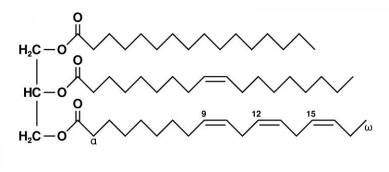 what-is-the-difference-between-hydrogenated-and-non-hydrogenated-oil