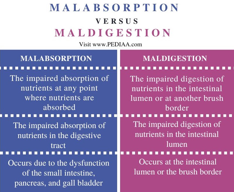 Malabsorption vs Maldigestion - Comparison Summary