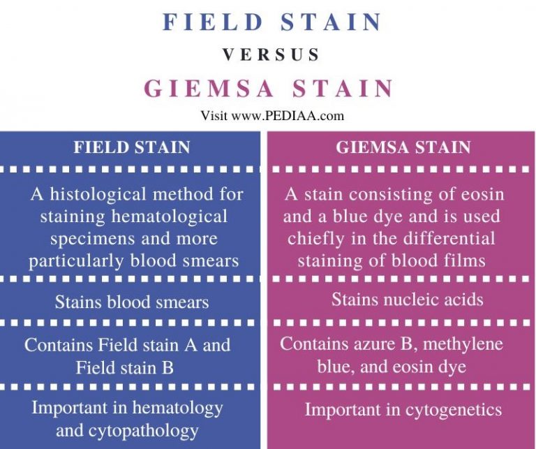 What Is The Difference Between Field Stain And Giemsa Stain - Pediaa.Com