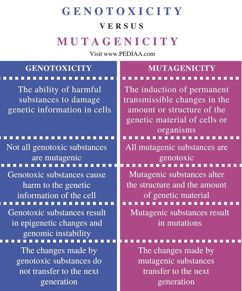 Genotoxicity vs Mutagenicity - Comparison Summary