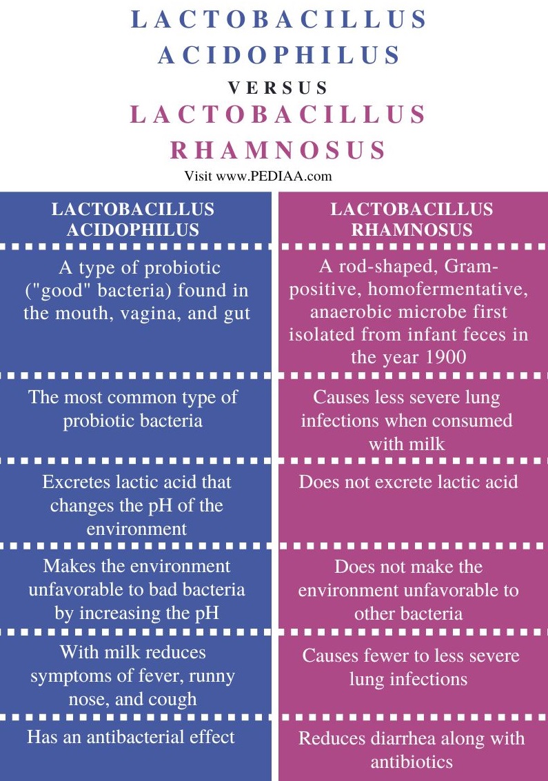 Lactobacillus Acidophilus vs Lactobacillus Rhamnosus - Comparison Summary