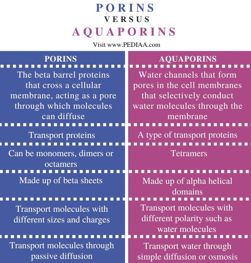 Porins vs Aquaporins - Comparison Summary