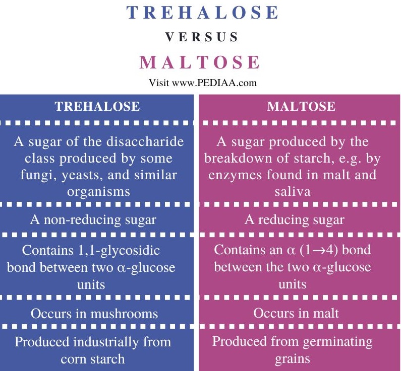 Trehalose vs Maltose - Comparison Summary