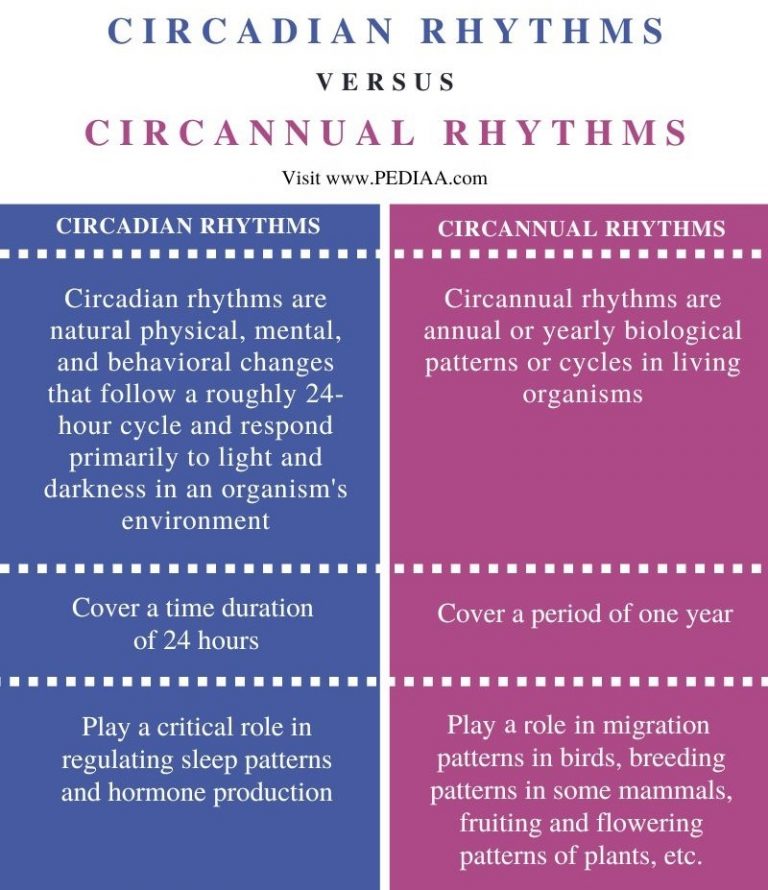 What is the Difference Between Circadian and Circannual Rhythms