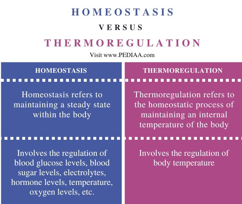 Difference Between Homeostasis and Thermoregulation - Comparison Summary