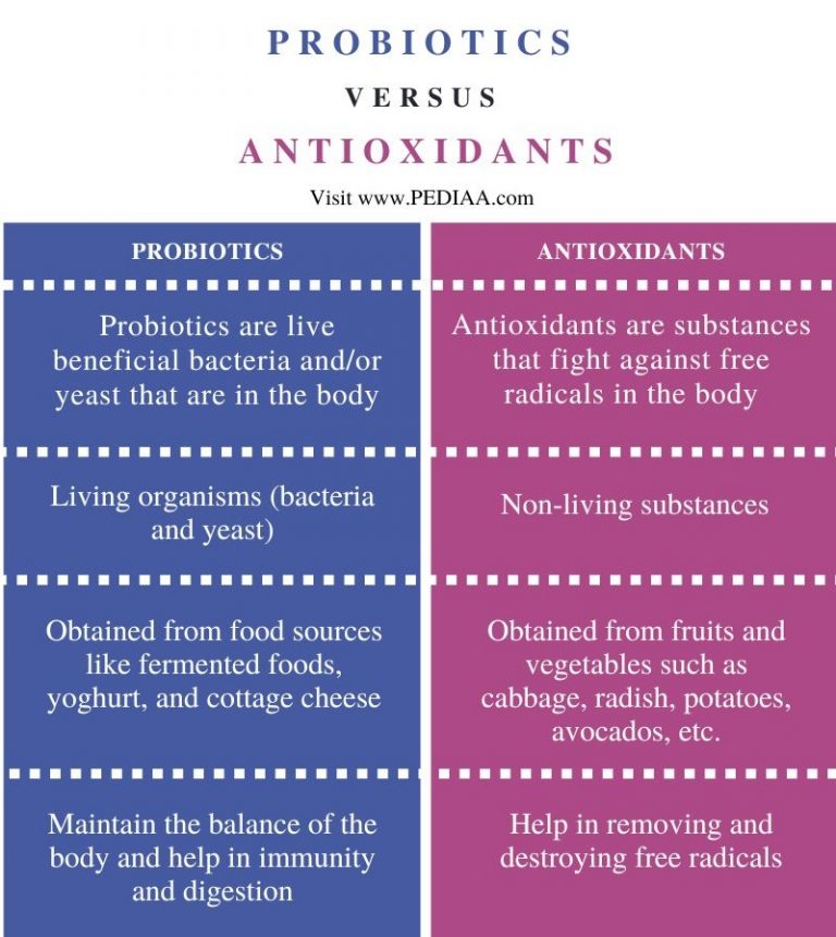 What is the Difference Between Probiotics and Antioxidants