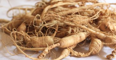 Compare Ginseng and Ginkgo Biloba - What's the difference?
