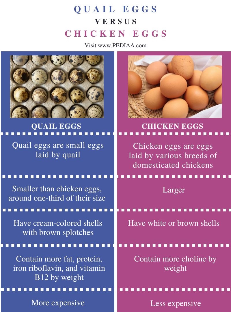 What is the Difference Between Quail Eggs and Chicken Eggs - Comparison Summary
