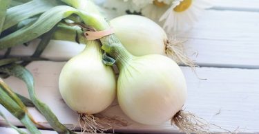 Compare White Onion and Brown Onion - What's the difference?