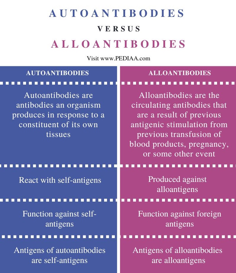 Difference Between Autoantibodies and Alloantibodies - Comparison Summary