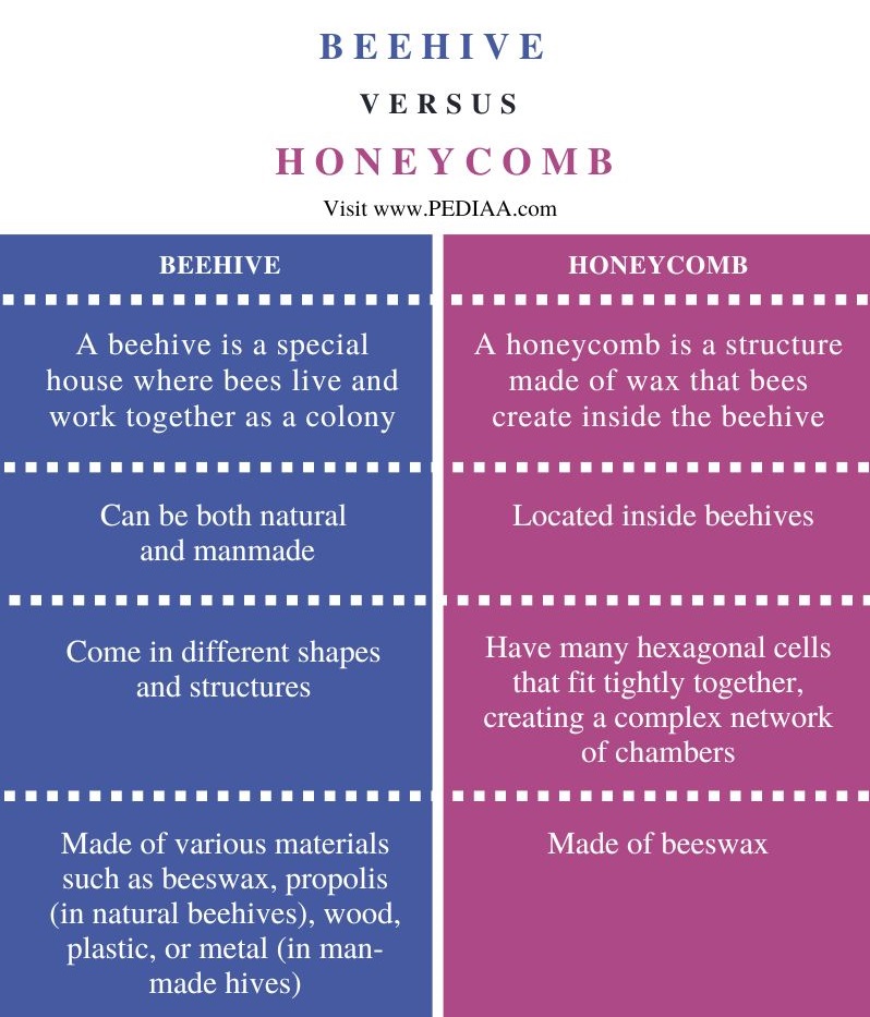 Difference Between Beehive and Honeycomb - Comparison Summary