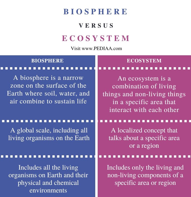 What Is The Difference Between Biosphere And Ecosystem - Pediaa.Com