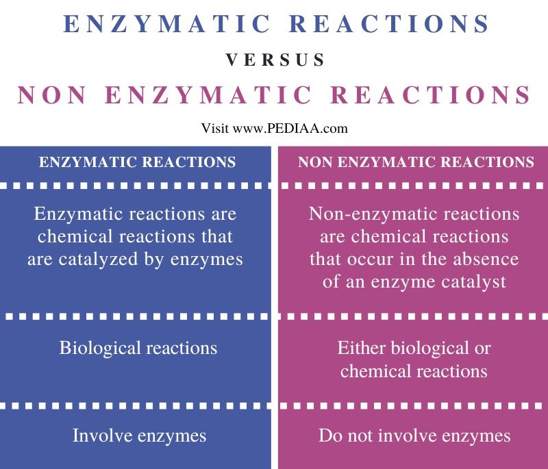 Difference Between Enzymatic and Non Enzymatic Reactions - Comparison Summary