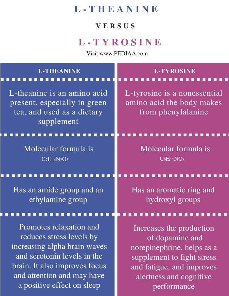 Difference Between L-Theanine and L-Tyrosine - Comparison Summary