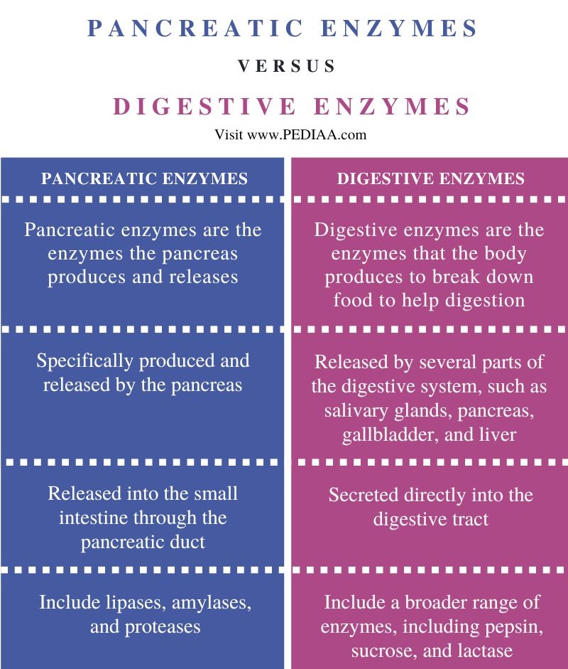 Difference Between Pancreatic Enzymes and Digestive Enzymes - Comparison Summary