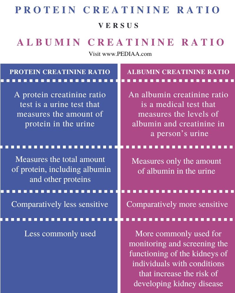 Difference Between Protein Creatinine Ratio and Albumin Creatinine Ratio - Comparison Summary
