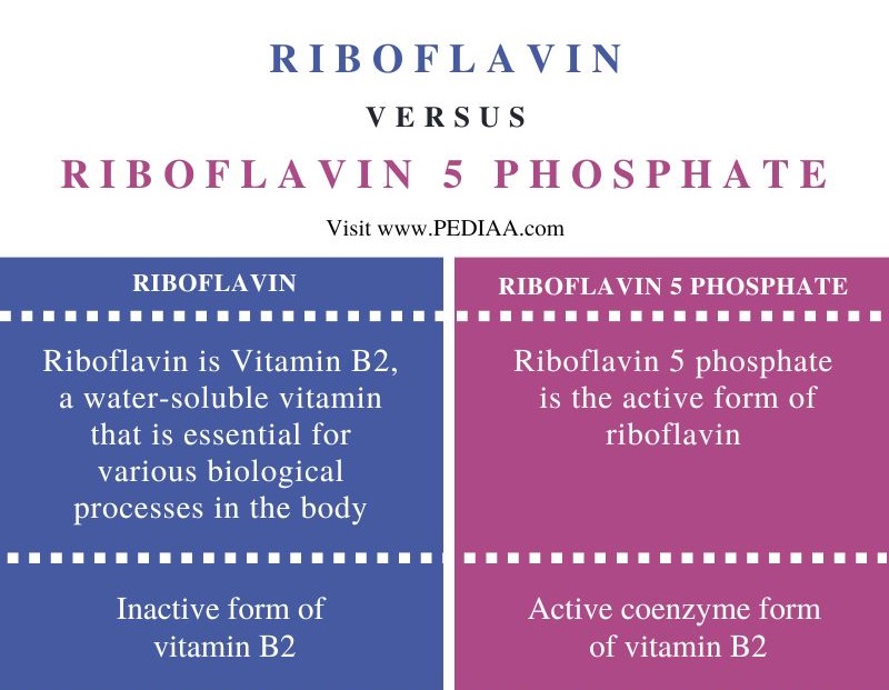 Difference Between Riboflavin and Riboflavin 5 Phosphate - Comparison Summary