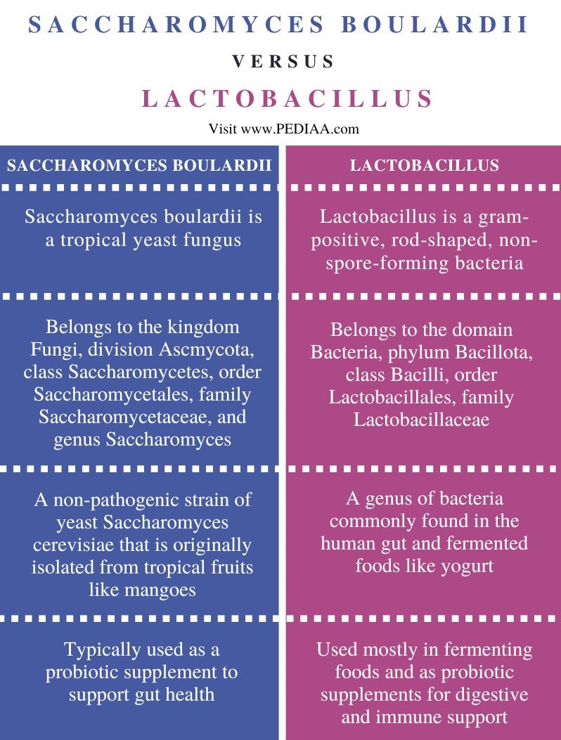Difference Between Saccharomyces Boulardii and Lactobacillus - Comparison Summary