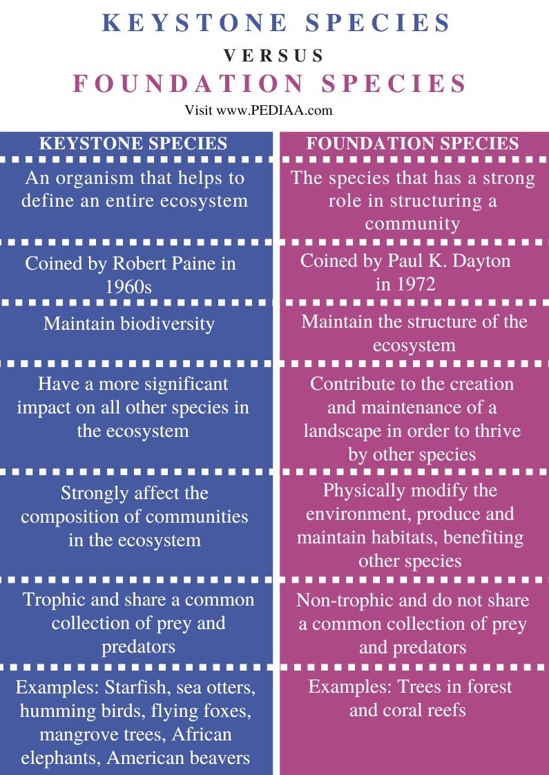 Keystone Species and Foundation Species -  Comparison Summary