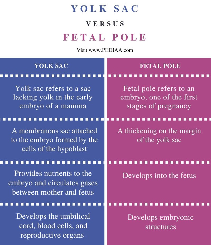What Is The Difference Between Yolk Sac And Fetal Pole Pediaa Com What Is The Difference Between Yolk Sac And Fetal Pole Pediaa Com
