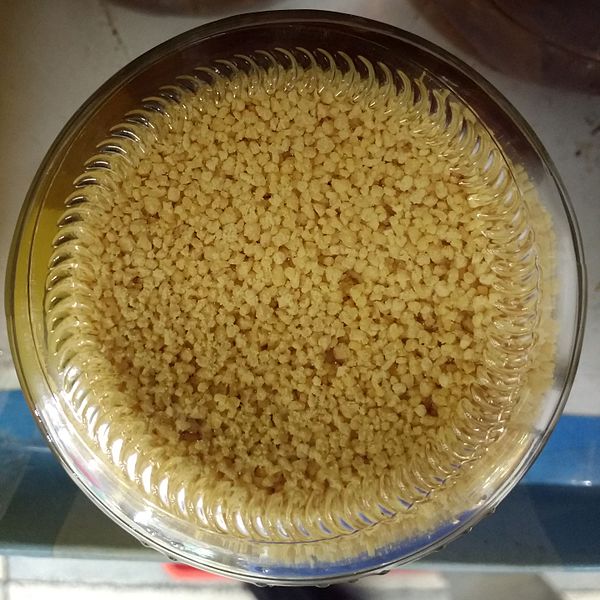 What is the Difference Between Lecithin and Phosphatidylcholine