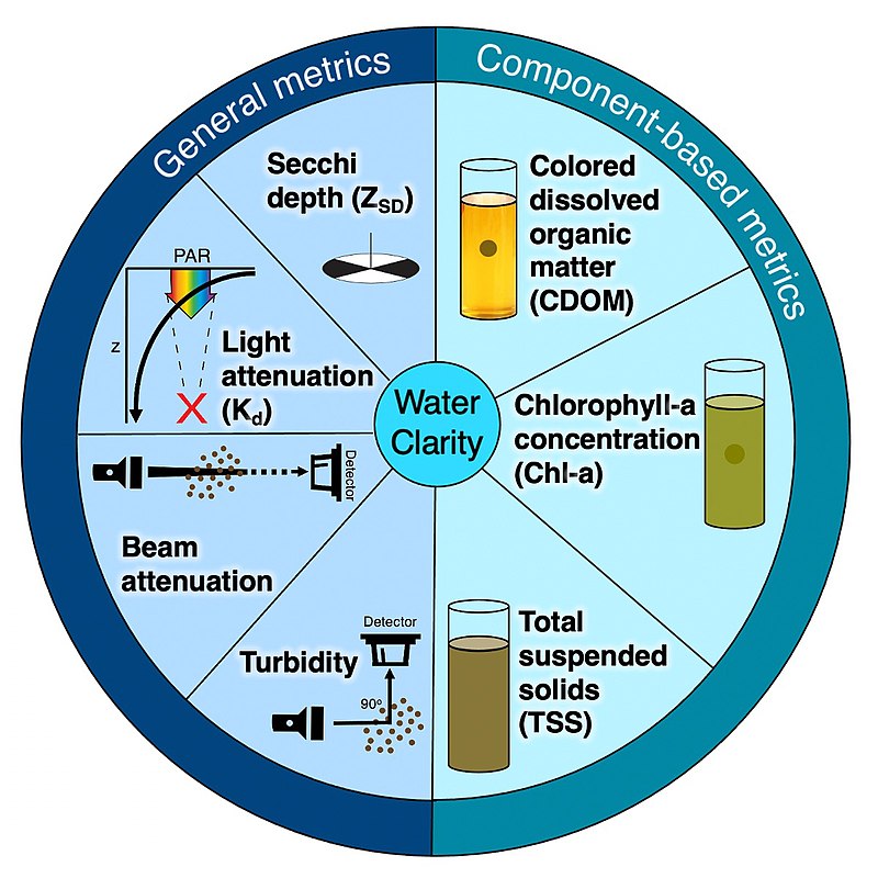 What is the Difference Between Turbidity and Total Suspended Solids