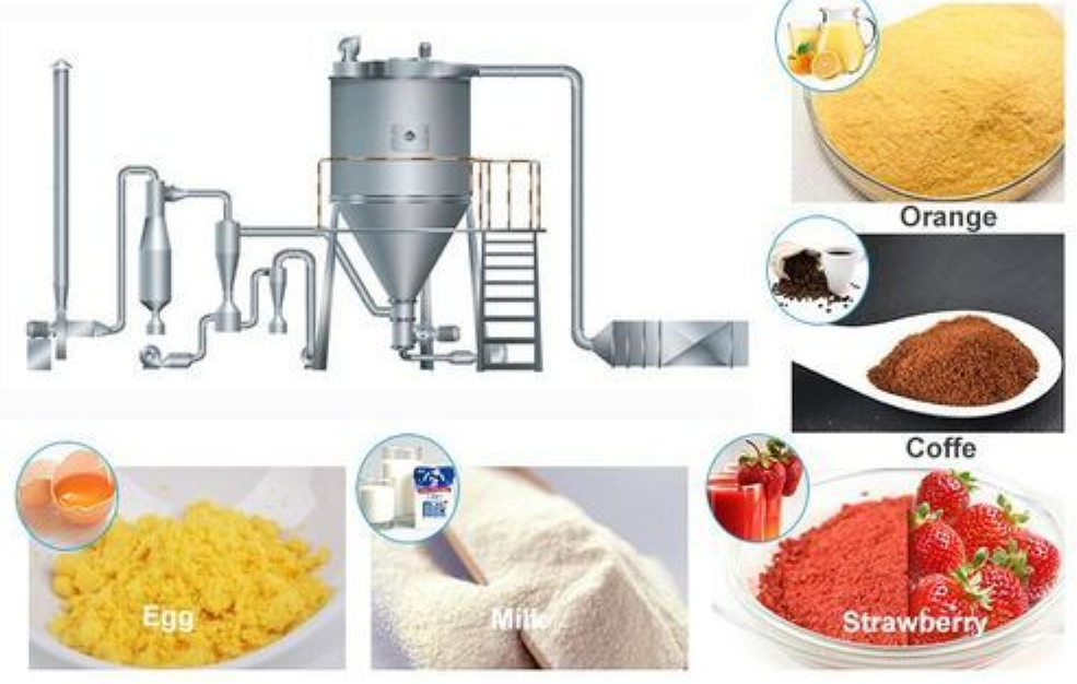 What is the Difference Between Freeze Drying and Spray Drying