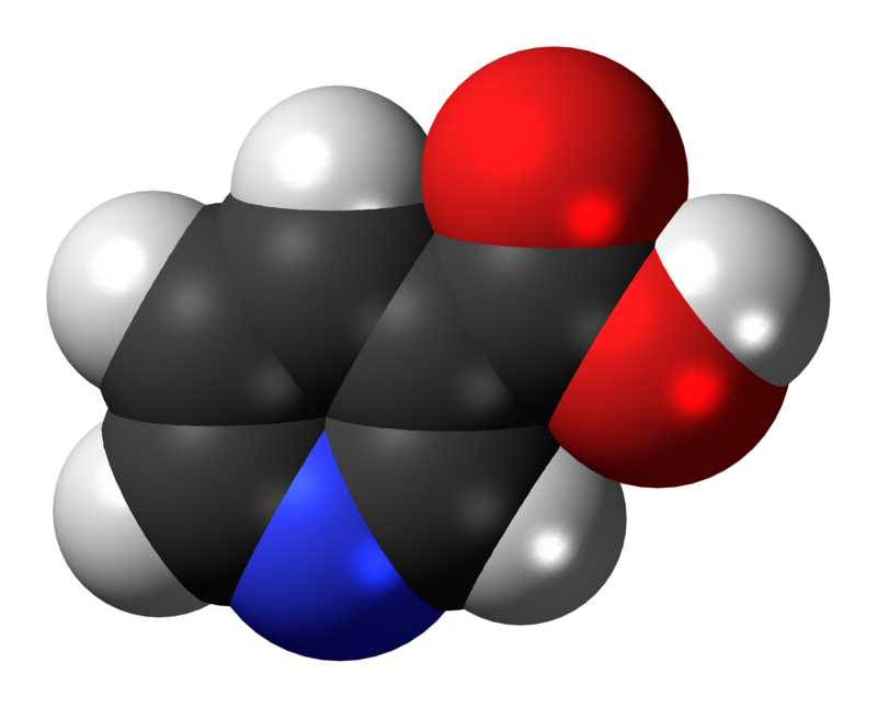 What is the Difference Between Niacinamide and Niacin
