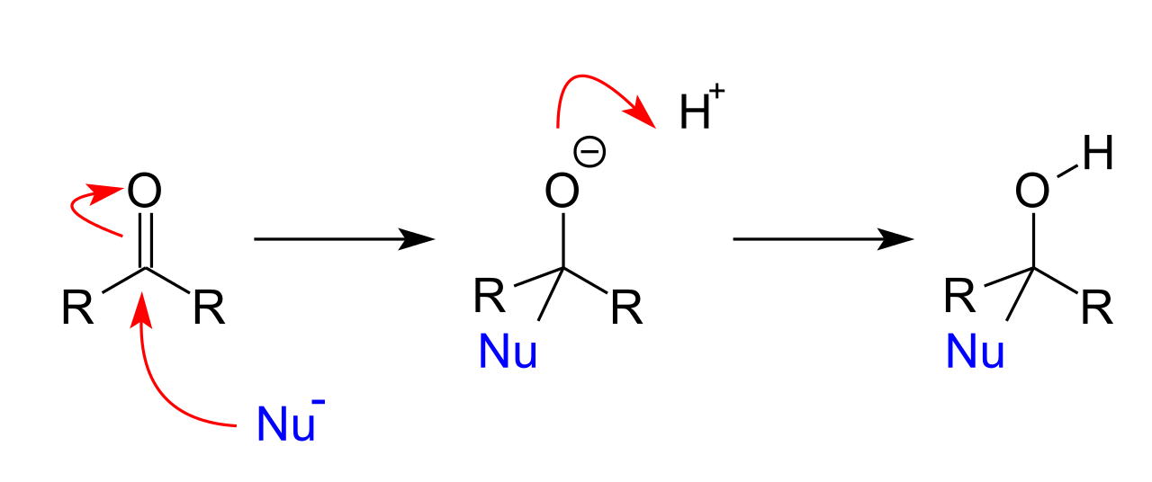 What is the Difference Between Electrophilic and Nucleophilic Addition ...