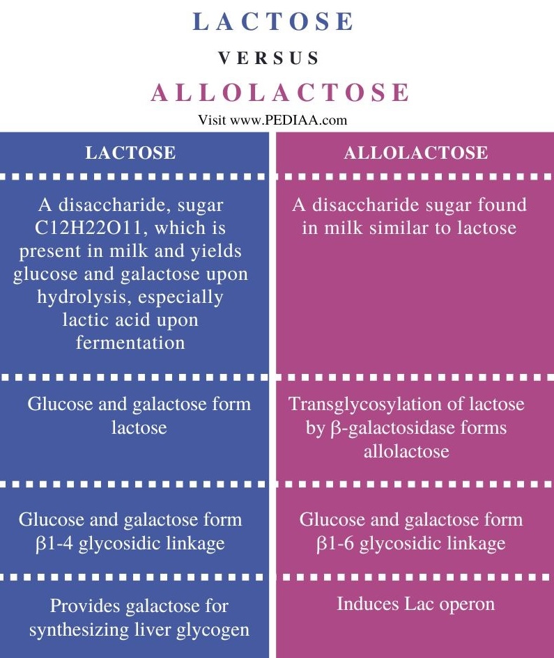 What Is The Difference Between Lactose And Allolactose - Pediaa.Com