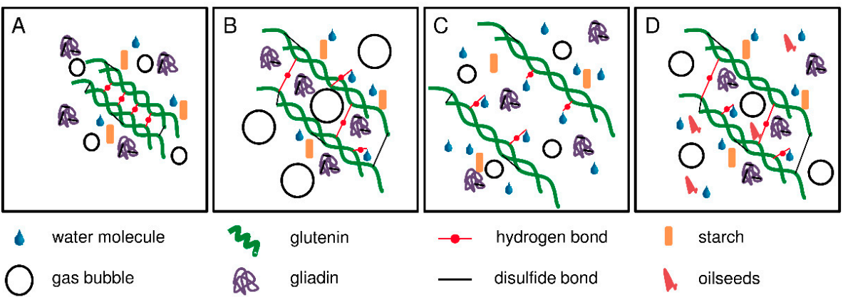 what-is-the-difference-between-glutenin-and-gliadin-pediaa-com