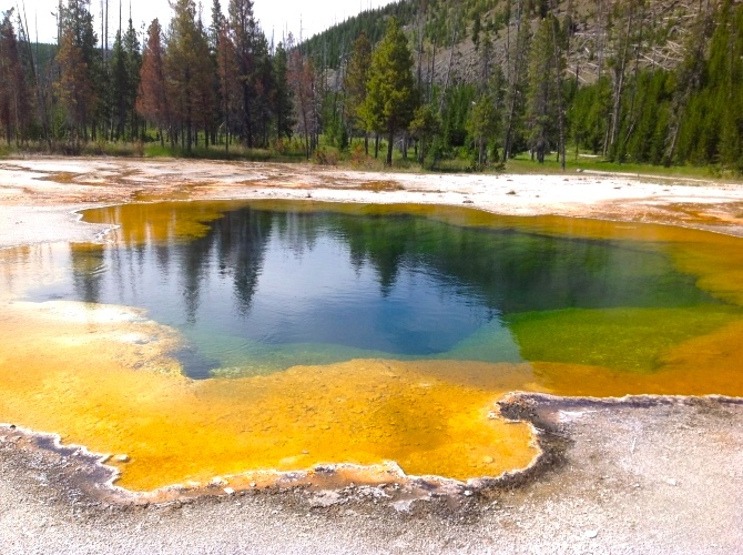 What is the Difference Between Archaea and Bacteria