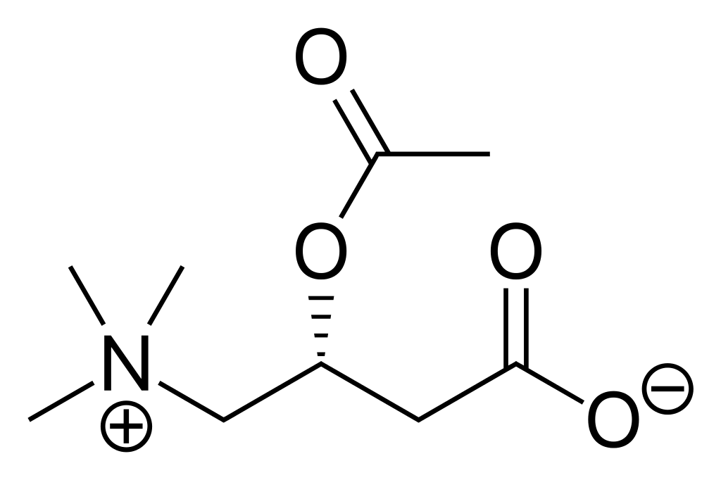 acetyl l carnitine pronunciation What is the Difference Between Carnitine and Acetyl L Carnitine