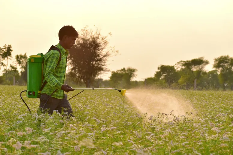 What is the Difference Between Fumigation and Spraying - Pediaa.Com