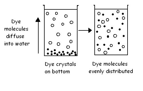 What is the Difference Between Eddy Diffusion and Molecular Diffusion ...