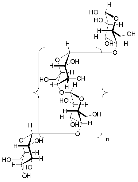 What is the Difference Between Amylose Amylopectin and Glycogen ...