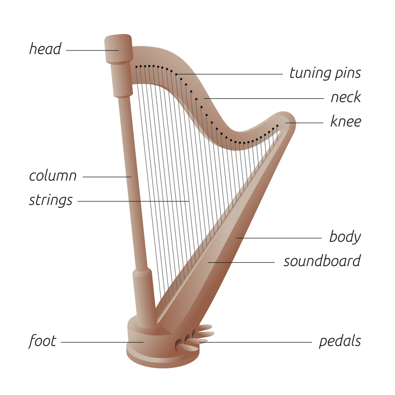 What is the Difference Between Harp and Lyre